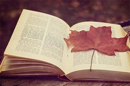 2020年義烏工商職業(yè)技術(shù)學(xué)院教師招聘25人公告