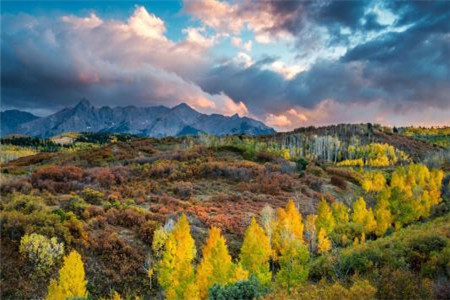 2020年東陽浙師大附屬花園外國語學(xué)校教師招聘若干人公告